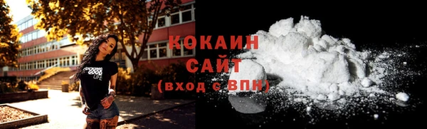 хмурый Ладушкин