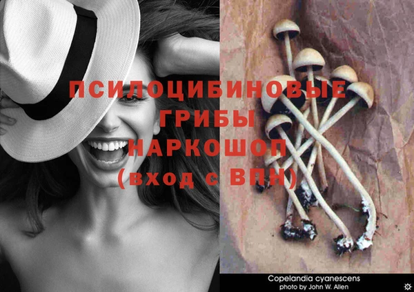 бошки Лагань