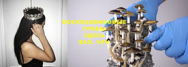 мескалин Лабытнанги