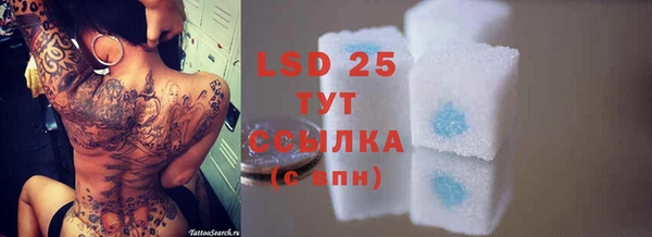 хмурый Ладушкин