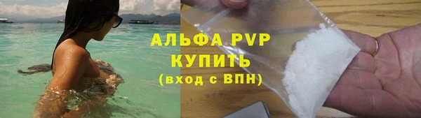 хмурый Ладушкин