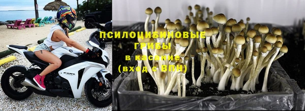 мескалин Лабытнанги