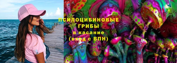 бошки Лагань