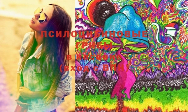 мескалин Лабытнанги