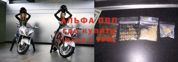 хмурый Ладушкин